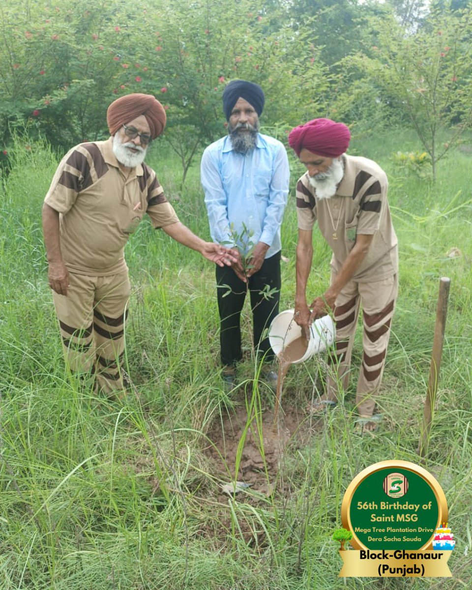 GreenSwelfares's tweet photo. Dedicated volunteers pledged to plant more and more trees every year!! Tree Plantation by Dera Sacha Sauda volunteers from Ghanaur, Punjab on the occasion of Saint Dr. MSG's Birthday. #56thBirthday #SaintDrMSG #DeraSachaSauda #TreePlantation https://t.co/2IEwVvo44F