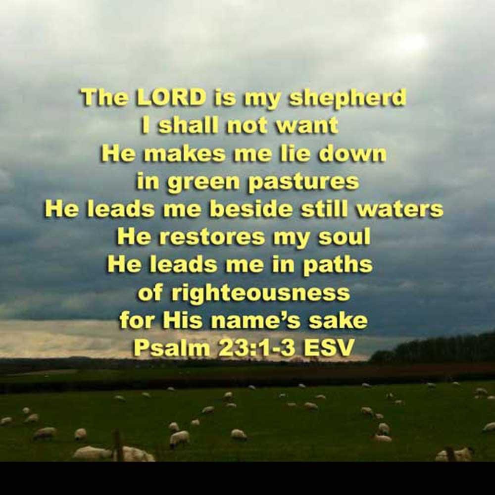 The LORD is my shepherd; I shall not want. He makes me lie down in green pastures. He leads me beside still waters. He restores my soul. He leads me in paths of righteousness for His name's sake.  Psalm 23:1-3 ESV #thelordismyshepherd