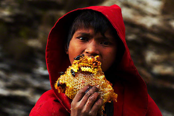 🍯Madu yang memabukkan.

tau ga, di dunia ini ternyata ada loh jenis madu yang bikin kita mabuk, walau hanya dikonsumsi dua tetes aja!

namanya mad honey, berasal dari nepal. tapi kok bisa memabukkan?

yuk kita bahas!

[thread belajar bareng]