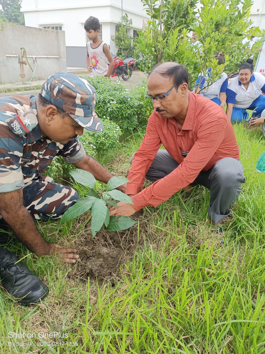 Tree Plantation Programme