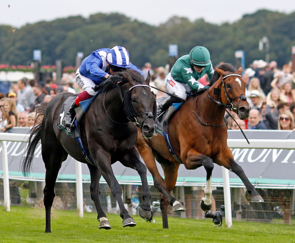 Tattersalls1766's tweet photo. 🌟 Mostahdaf & Nashwa, both Group 1 winners and both out of Stakes winning dams bought at #TattsOctober Book 1 by their owner breeders.

Handassa, dam of Mostahdaf, was bought by @ShadwellStud for 100,000gns and Princess Loulou, dam of Nashwa, was bought by @TonyNerses @BlueDiamondStd for 310,000gns.