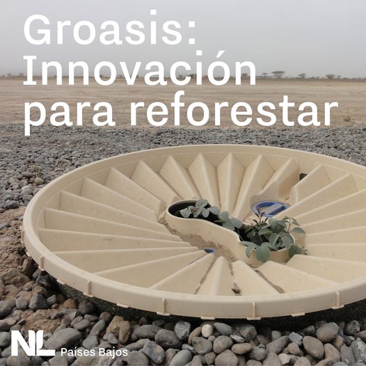 groasis's tweet photo. NL in Costa Rica, Plantar árboles productivos y producir alimentos ahorrando agua es posible gracias a la empresa neerlandesa #Groasis. Para esta y más innovaciones, el equipo económico de la Embajada puede apoyarle para resolver desafíos globales juntos.
https://t.co/StBzEjYM0t https://t.co/lo7iqAVmhX