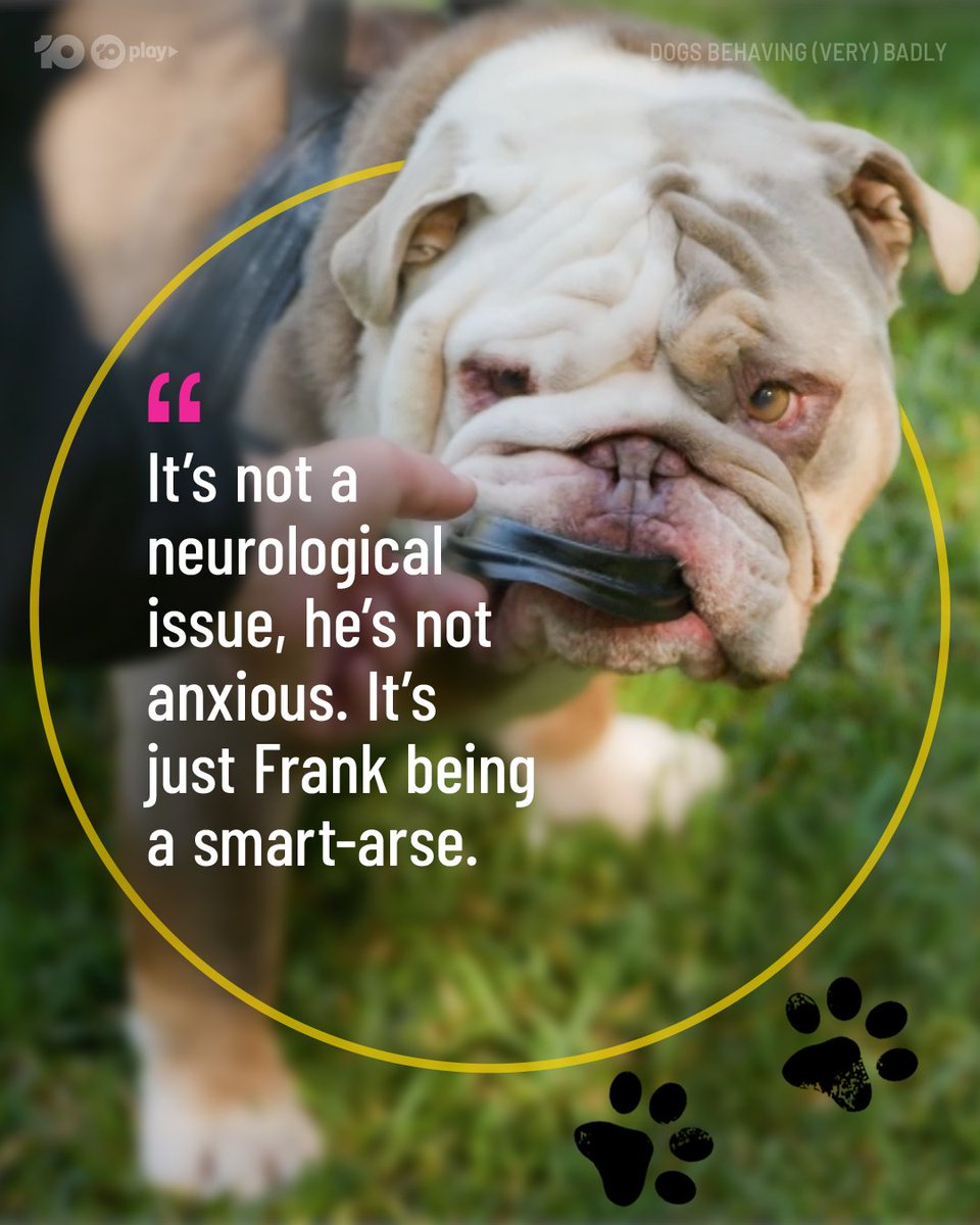 DogsBehavingAU's tweet image. Raise your hand (or paw) if you learnt something new tonight 🙋‍♂️🐾
#DogsBehavingVeryBadlyAU

@GraemeDogfather @Ladyjmo #DogsofAustralia #AussieDogs #DogTraining #DogTrainingAustralia #DogTrainingTips #DogTrainingAdvice