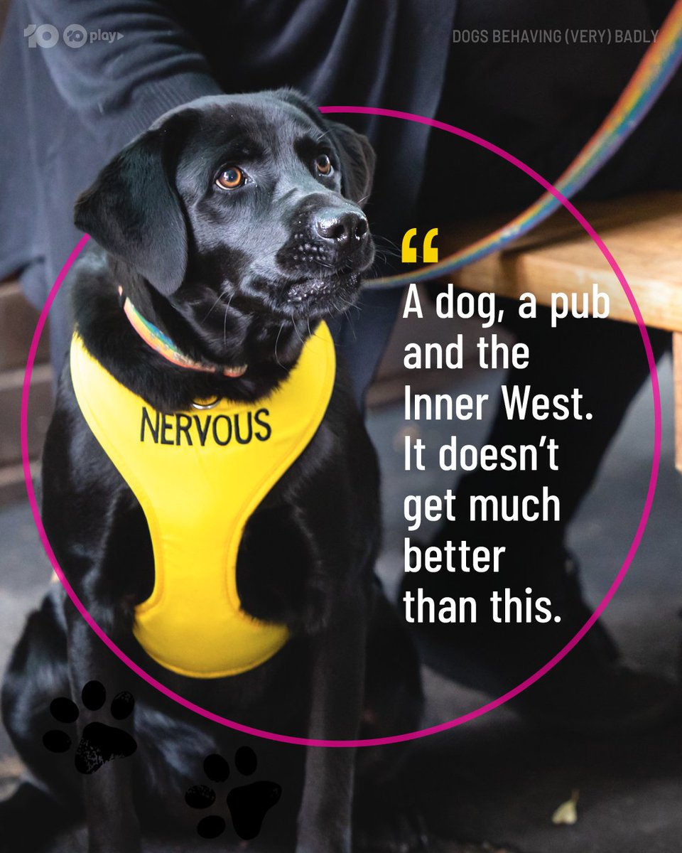 DogsBehavingAU's tweet image. Raise your hand (or paw) if you learnt something new tonight 🙋‍♂️🐾
#DogsBehavingVeryBadlyAU

@GraemeDogfather @Ladyjmo #DogsofAustralia #AussieDogs #DogTraining #DogTrainingAustralia #DogTrainingTips #DogTrainingAdvice