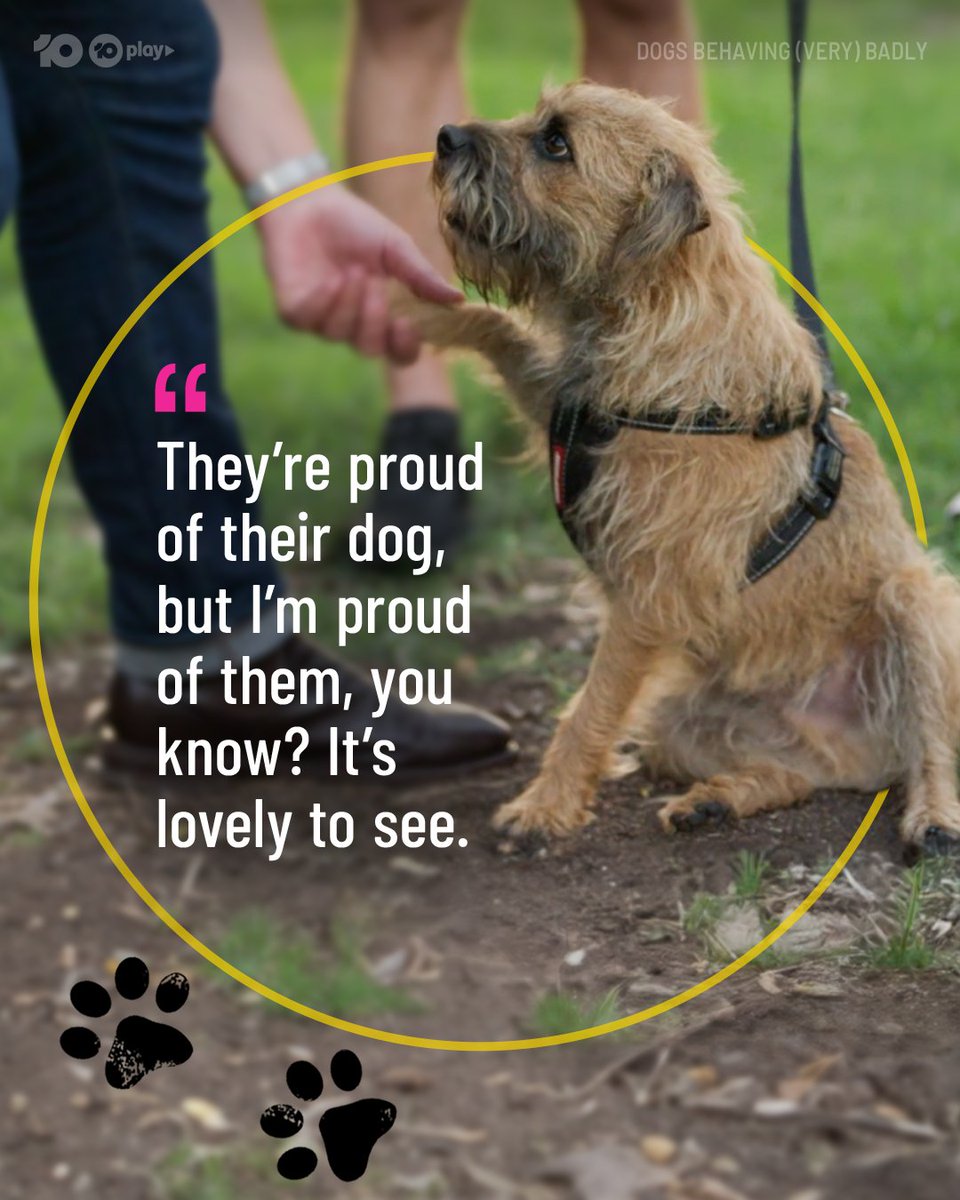 DogsBehavingAU's tweet image. Raise your hand (or paw) if you learnt something new tonight 🙋‍♂️🐾
#DogsBehavingVeryBadlyAU

@GraemeDogfather @Ladyjmo #DogsofAustralia #AussieDogs #DogTraining #DogTrainingAustralia #DogTrainingTips #DogTrainingAdvice