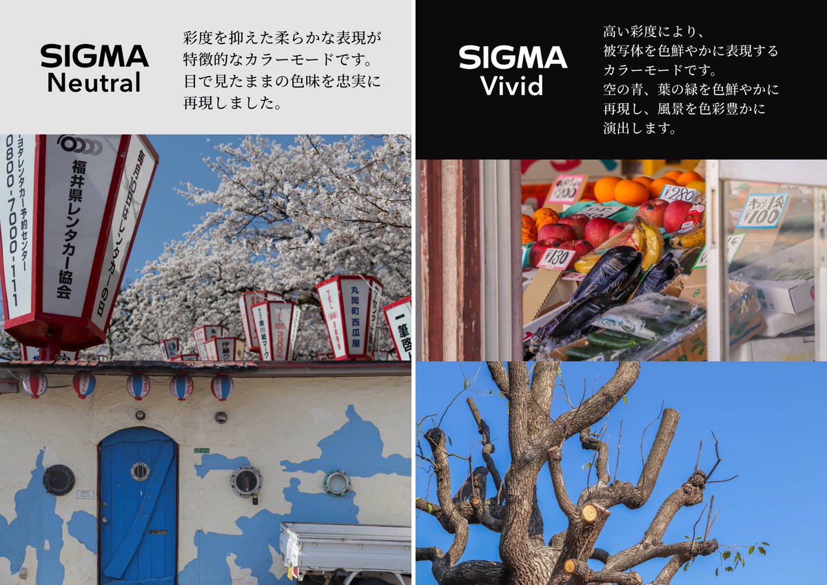 HiNEXJapan's tweet photo. Capturaに搭載されている5つのカラーモード。 https://t.co/15525tISzP