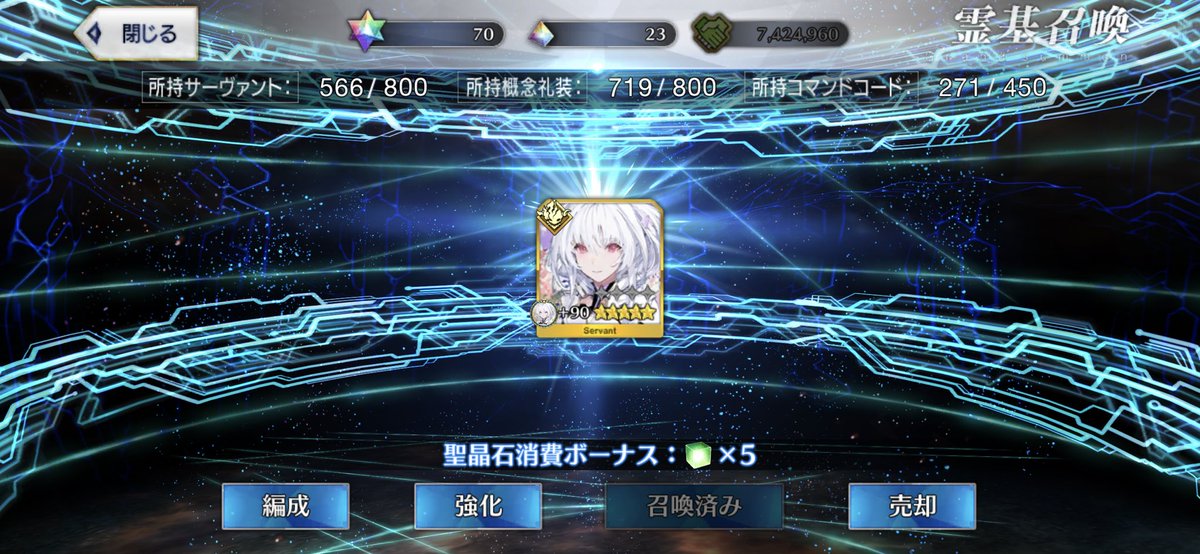 今年の夏は違うわ…