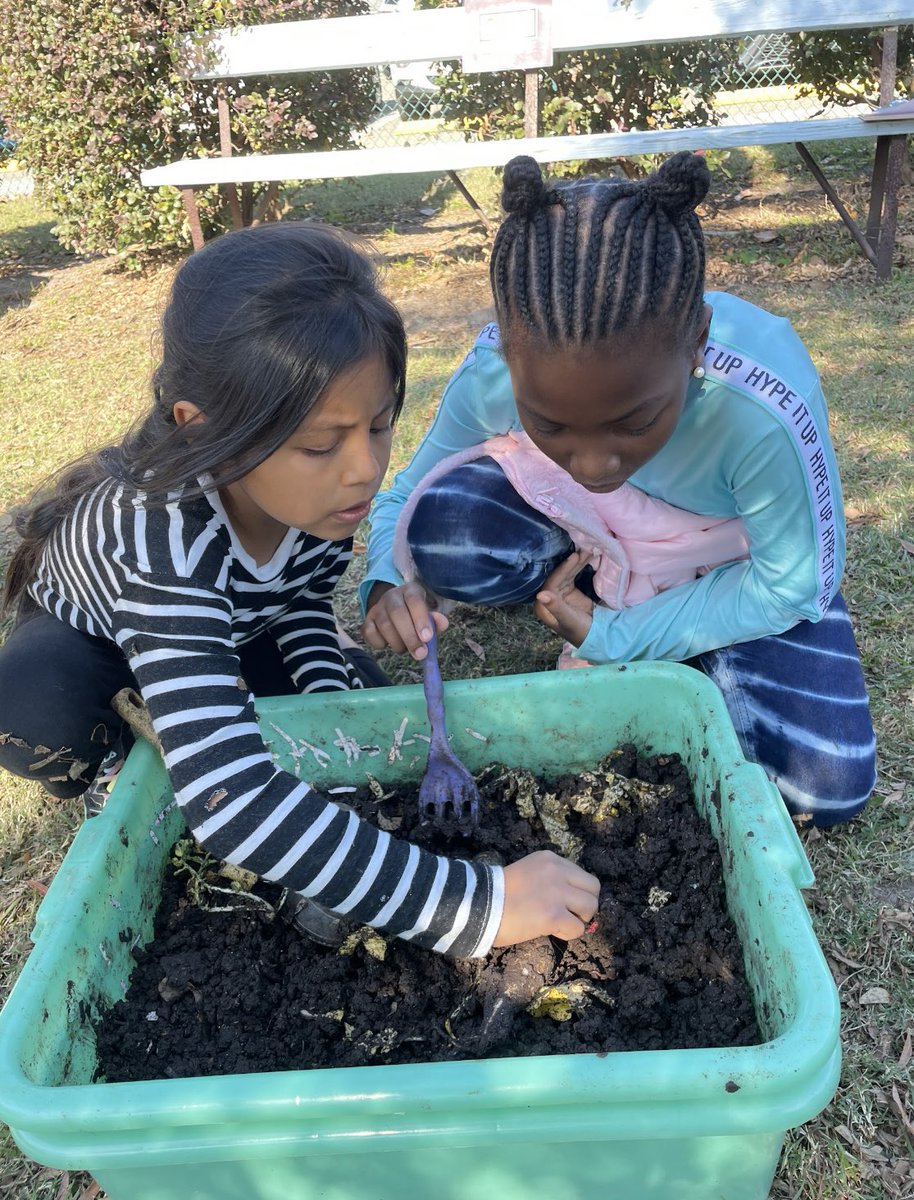 Mallory Weeks tweet media