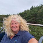 Photo by The New Forest Tour (@NewForestTour)