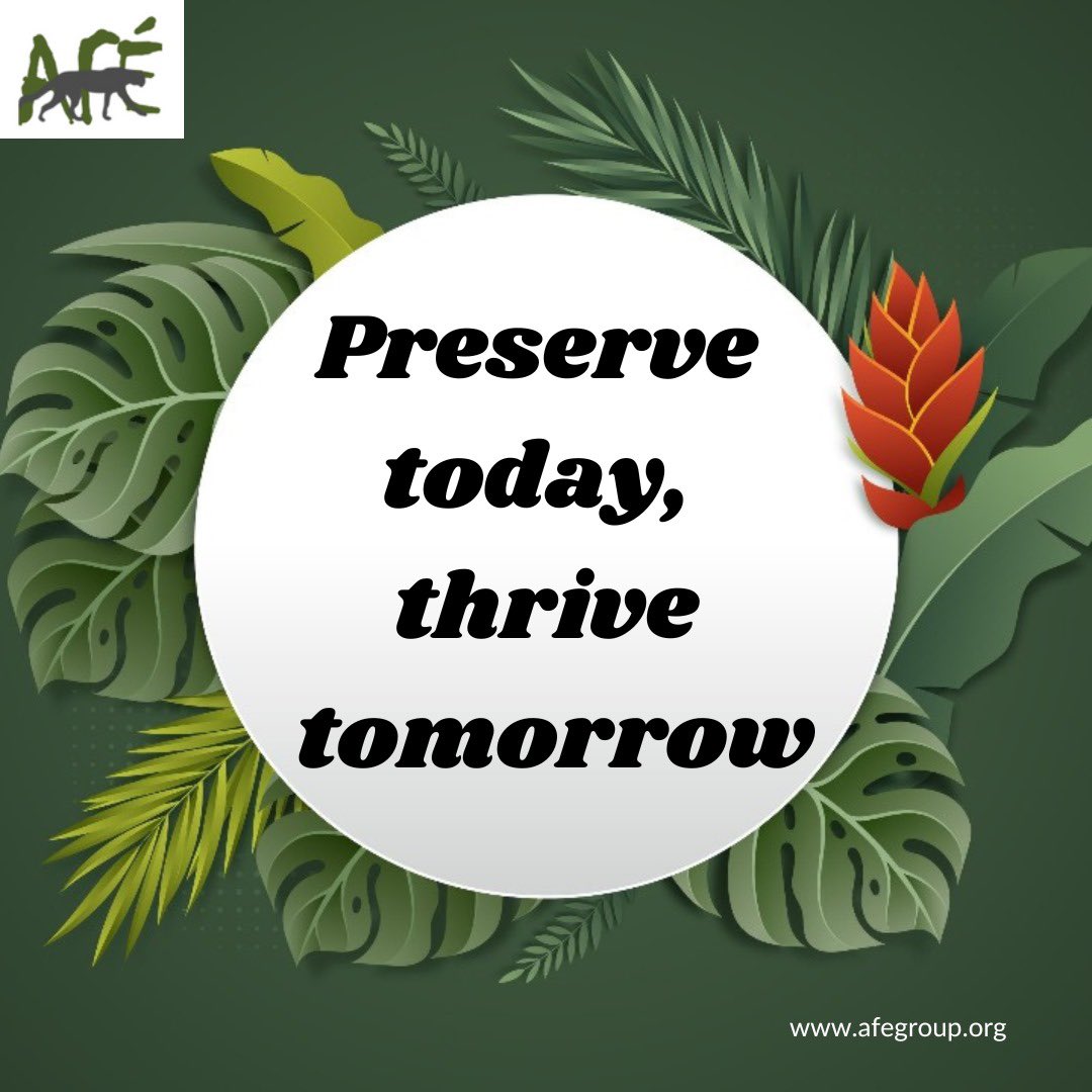 EmeraldForest20's tweet photo. Ever wondered what lies beyond the veil of trees in Emerald Forest Reserve? π³π²
With every step you take, you're helping us preserve today, ensuring a thriving ecosystem for the generations to come.
What do you hope to uncover on your next visit? ππ #EmeraldExploration https://t.co/ggRNzn8VQz