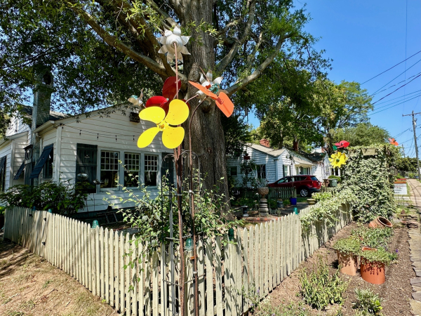 GreensboroDailyPhoto tweet media