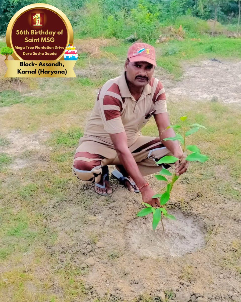 DSSNewsUpdates's tweet image. Tree Plantation by Dera Sacha Sauda volunteers from Assandh, Karnal, Haryana on the occasion of Saint Dr. MSG's Birthday. #56thBirthday #SaintDrMSG #DeraSachaSauda #TreePlantation
