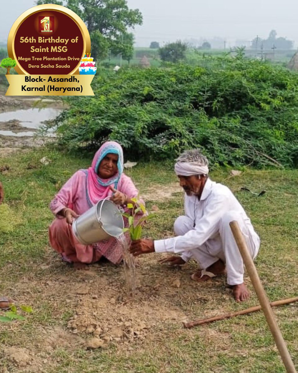 DSSNewsUpdates's tweet image. Tree Plantation by Dera Sacha Sauda volunteers from Assandh, Karnal, Haryana on the occasion of Saint Dr. MSG's Birthday. #56thBirthday #SaintDrMSG #DeraSachaSauda #TreePlantation