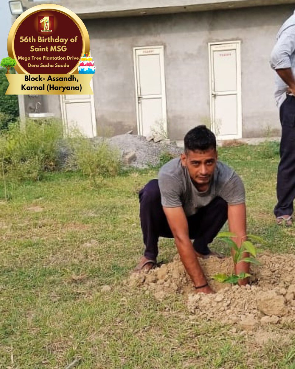 DSSNewsUpdates's tweet image. Tree Plantation by Dera Sacha Sauda volunteers from Assandh, Karnal, Haryana on the occasion of Saint Dr. MSG's Birthday. #56thBirthday #SaintDrMSG #DeraSachaSauda #TreePlantation