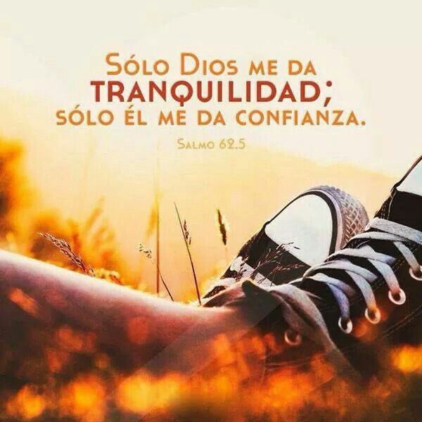 yacharrisb's tweet photo. Gracias mi Señor porque en este nuevo Día puedo sentir que el cielo se abre para mí y para mi familia, Se que Tú estás a nuestro lado y que serás tú concediéndonos el valor y la sabiduría que necesitamos para salir adelante y vivirlo con alegría, bendición y prosperidad, Amén. https://t.co/JoZkhDzwm7