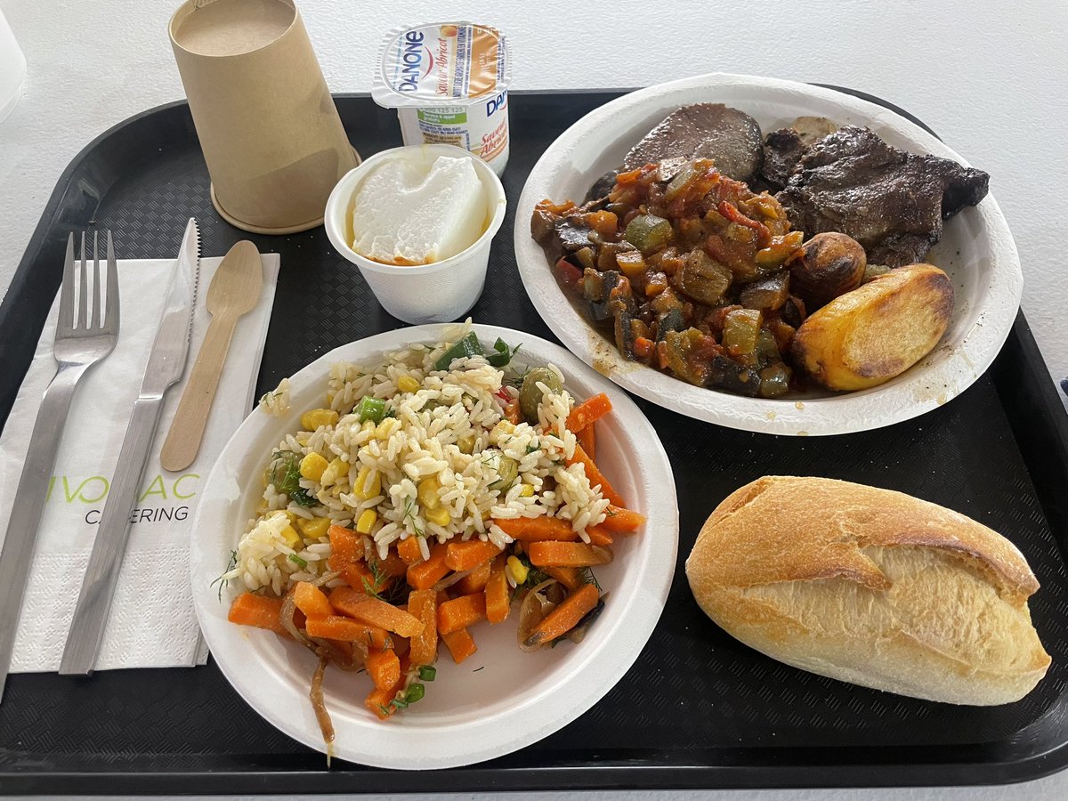 福岡の狂犬🐶430南港1480km❗️ tweet media