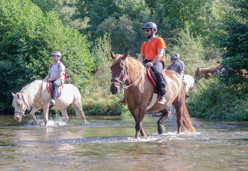 Avui t'animem a fer una 🐴 excursió a cavall per la Vall de Cardós amb Aventura Verda!
Una activitat que combina la 🌱 natura i l'aventura!

👉 bit.ly/RutaCavallVall…

#rutaacavall #valldecardos