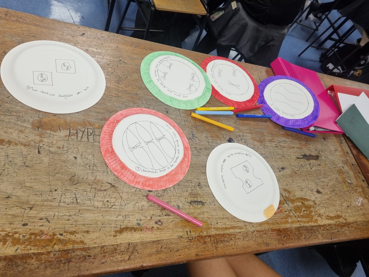 brannockscience's tweet photo. Miss MacDonald's S3 Biology pupils practiced their knowledge of mitosis by recreating the 6 stages from memory. Well done everyone! https://t.co/31YA7NqUf4