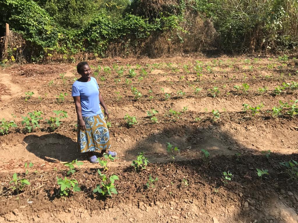 Deep Beds in Chinteche #Malawi where smallholder farmers learned our #sustainable  farming method through digital contact with Tiyeni staff and our website! Learn today at tiyeni.org/training-mater…