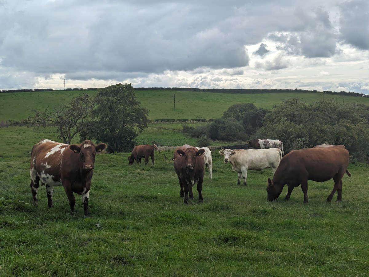 Lauren@WilsonPhotography tweet media