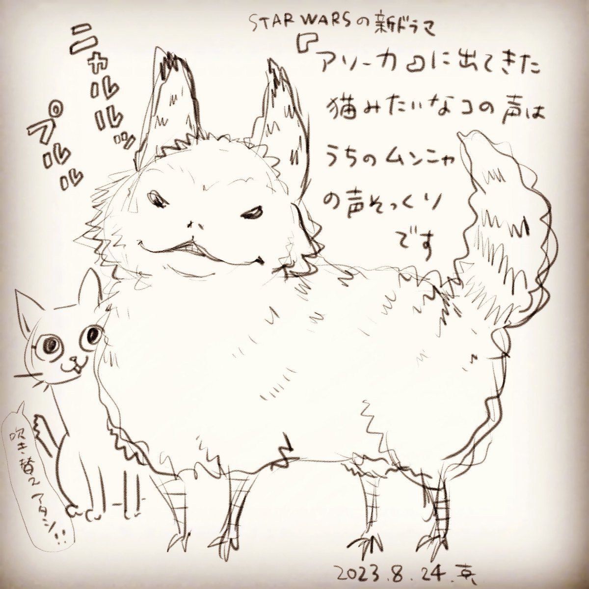 「アソーカ」面白かったです。

この猫みたいなのはロズ=キャットというそうです。

#アソーカ
#末っ子ムンニャ
#真希ナルセ 