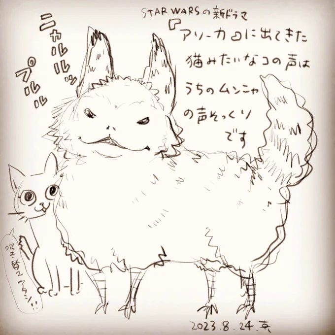 「アソーカ」面白かったです。

この猫みたいなのはロズ=キャットというそうです。

#アソーカ
#末っ子ムンニャ
#真希ナルセ 