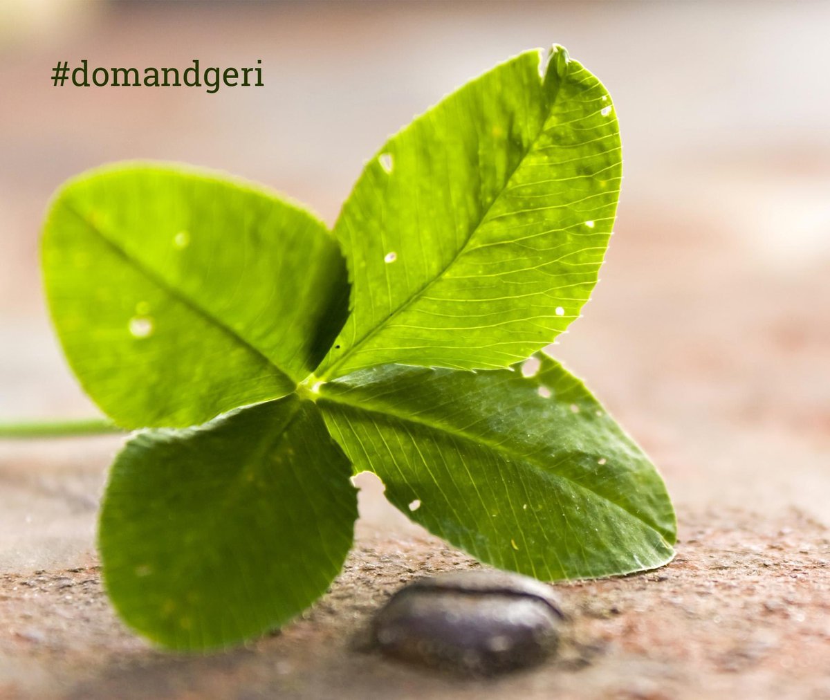 Good luck to everyone receiving their GCSE results today 🤞🏻📚

#gcse #gcseresults #results #congratulations #congrats #welldone #soproud #proud #happy  #education #studygram #gcserevision #exams #uk #gcsemaths #english #resultsday #fourleafclover