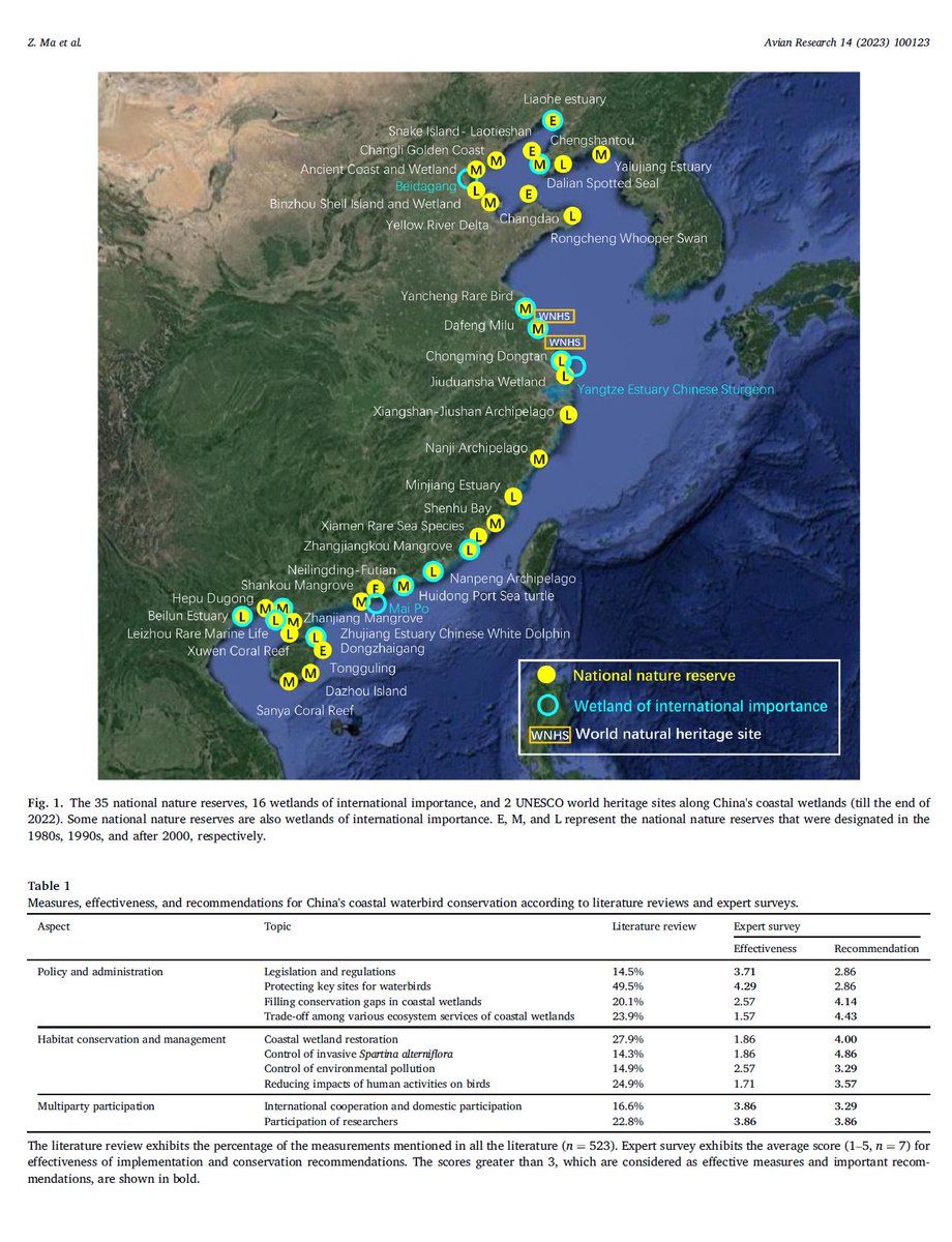 Global Flyway Network (@globalflyway) on Twitter photo <a href="/GlobalFlyway/">Global Flyway Network</a> contributed to review of conservation measures to protect waterbirds in China's coastal wetlands. With recommendations on policy & administration, habitat conservation & management, and multiparty participation in safeguarding wetlands! authors.elsevier.com/sd/article/S20… <a href="/GlobalFlyway/">Global Flyway Network</a> contributed to review of conservation measures to protect waterbirds in China's coastal wetlands. With recommendations on policy & administration, habitat conservation & management, and multiparty participation in safeguarding wetlands! authors.elsevier.com/sd/article/S20…