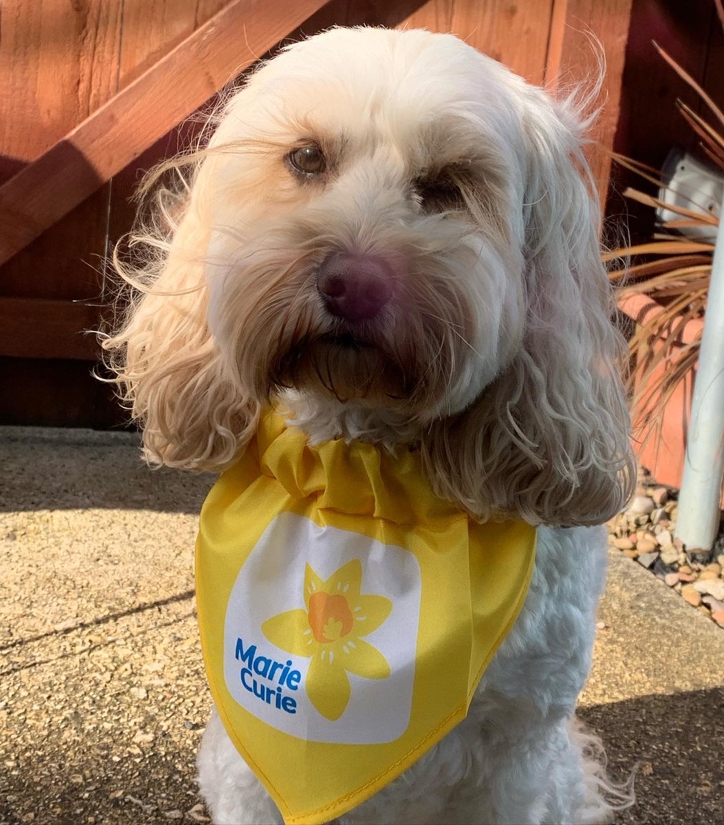 Marie Curie Hospice, Newcastle tweet media