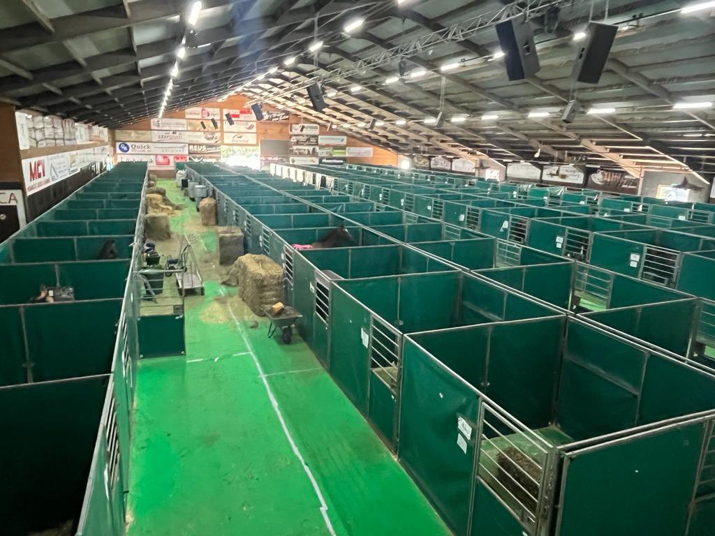 HenkBrinkDr's tweet photo. Iedereen in #Exloo is klaar voor het #EKvierspannen en #WKparamennen komend weekend. Mooiste en beste paardensport in onze provincie #Drenthe https://t.co/P9lnzQ827d
