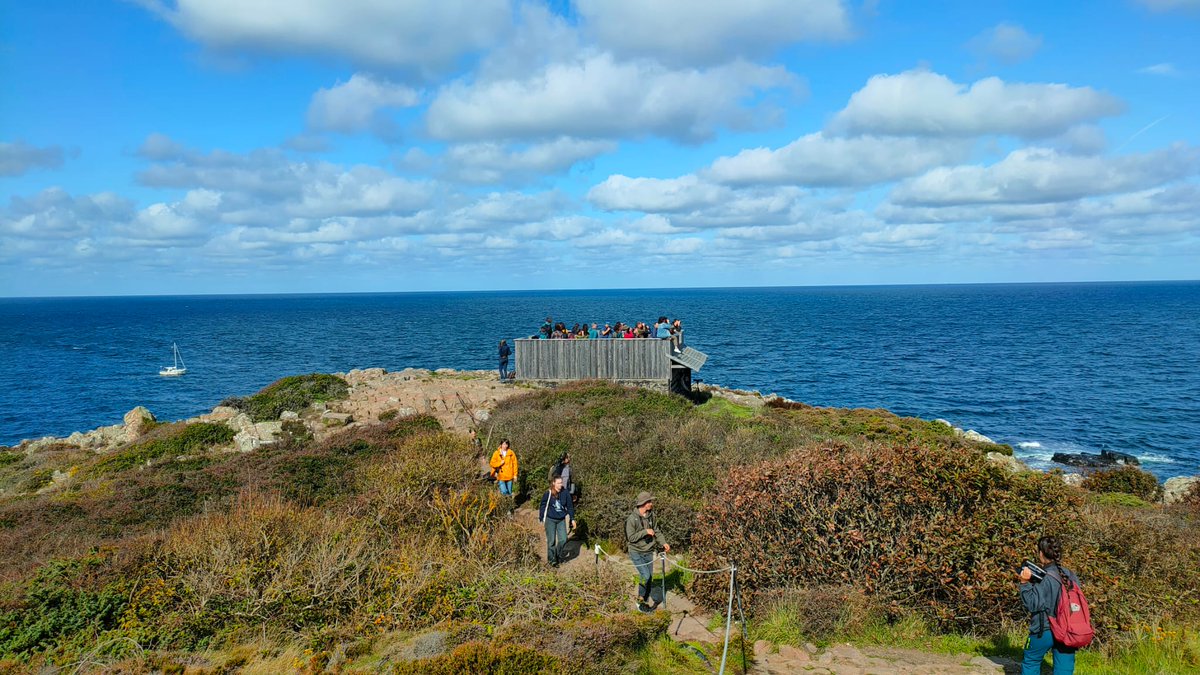 EOU 🐦 tweet media