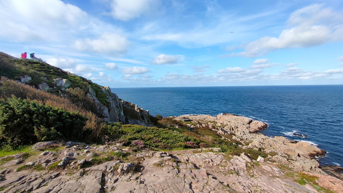 EOU 🐦 tweet media