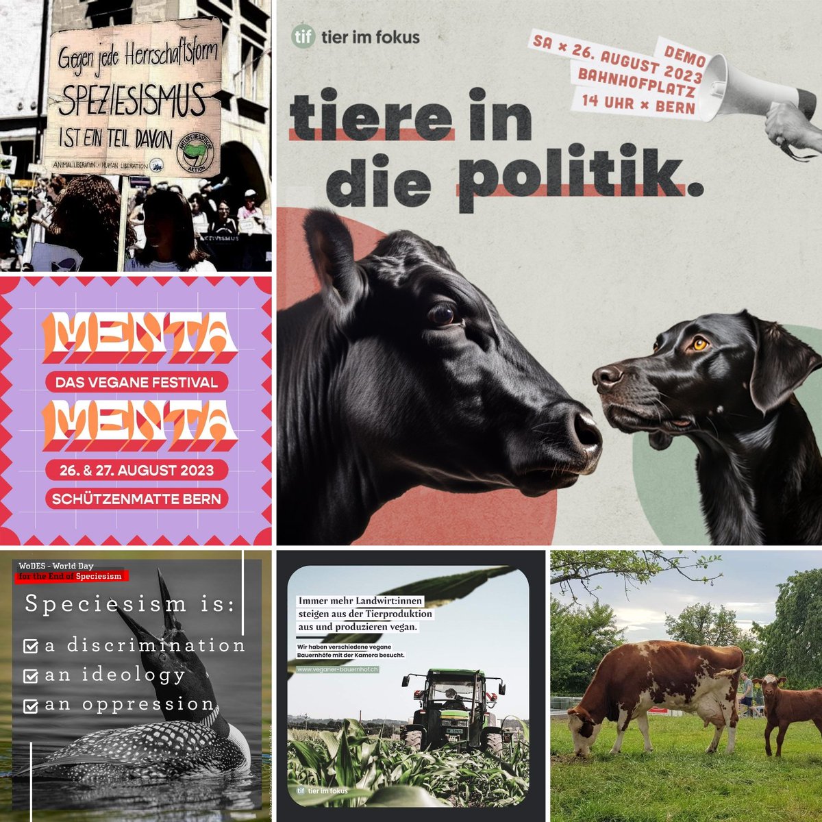 AAktivismus's tweet photo. SPEZIESISMUS ÜBERWINDEN!
Am Samstag ist der Welttag für das Ende des Speziesismus. @tierimfokus fordert an ihrer Demo in Bern: Tiere in die Politik. Zudem findet das MENTA-Festival statt. Am Sonntag Hofführung auf dem Biohof Hübeli in Kallnach.
#endspecism #animalpolitics https://t.co/ghvsgOcntJ
