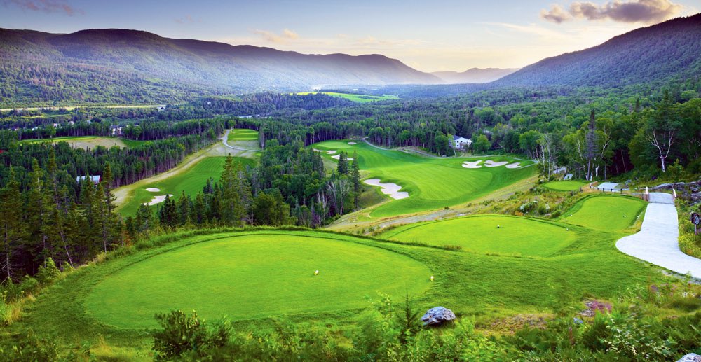 Michael Quigley HBAR 🐎 tweet media