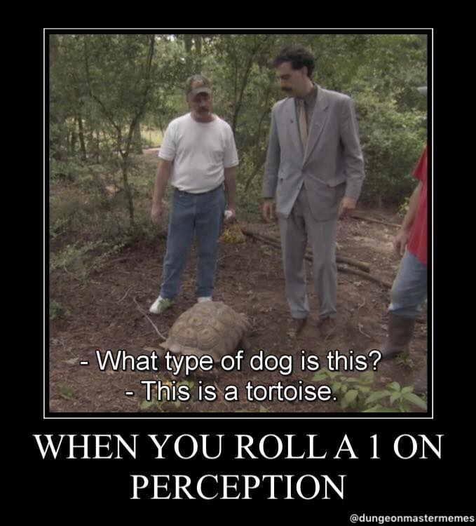 kopfkinocast's tweet photo. Ging letzten Woche bei uns dauernd so...
#perceptionfail #dndmeme https://t.co/byUeBwkd4V