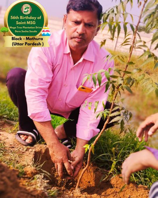 GreenSwelfares's tweet photo. A celebration with nature and the spirit of volunteerism!! Tree Plantation by Dera Sacha Sauda volunteers from Mathura, UP on the occasion of Saint Dr. MSG's Birthday. #56thBirthday #SaintDrMSG #DeraSachaSauda #TreePlantation https://t.co/P64M2w8bXO
