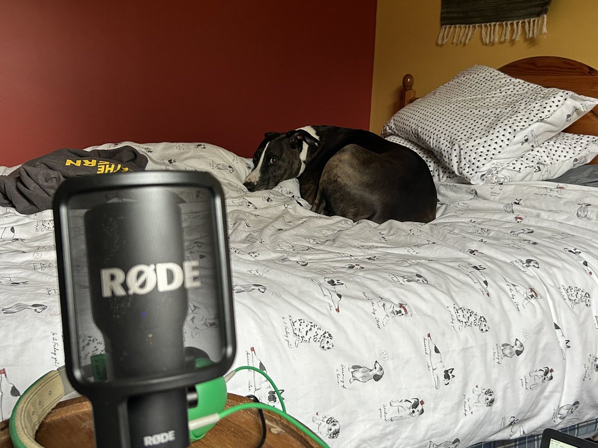 RetroDevilsPod's tweet photo. Today’s cohost clearly isn’t taking his duties seriously, instead he’s napping on the job!
#retrodevils #podcast #sleepypuppy #sidekick #mansbestfriend #mufc #MUFC_FAMILY #manutd https://t.co/S0FjuT3E5q