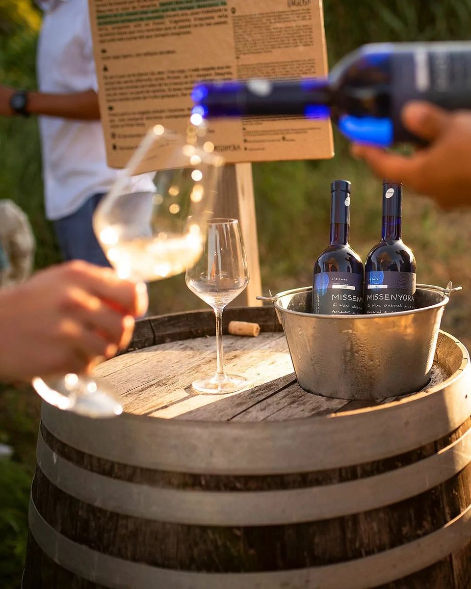Si us agrada el 🍷 vi us recomanem fer el #Tastavinyes de l'<a href="/olivera_coop/">L'Olivera</a>, la proposta més lliure per descobrir els secrets de la vinya i el vi! 

👉 naturexperience.cat/ca/experiences…

#enoturisme #naturexperiencecat