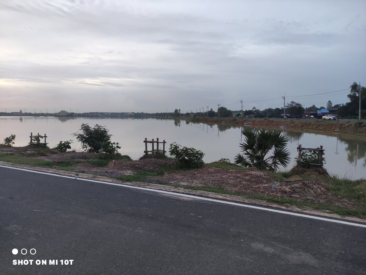 หุ่นหมี กอดอุ่น ติดสกินชิพ 💦🤌💦 tweet media