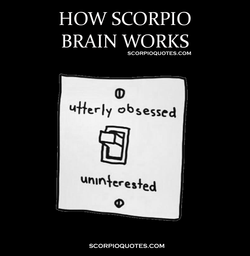ScorpioSeason's tweet photo. Scorpios are either utterly obsessed or completely uninterested. https://t.co/Y4ZxoFoMaa