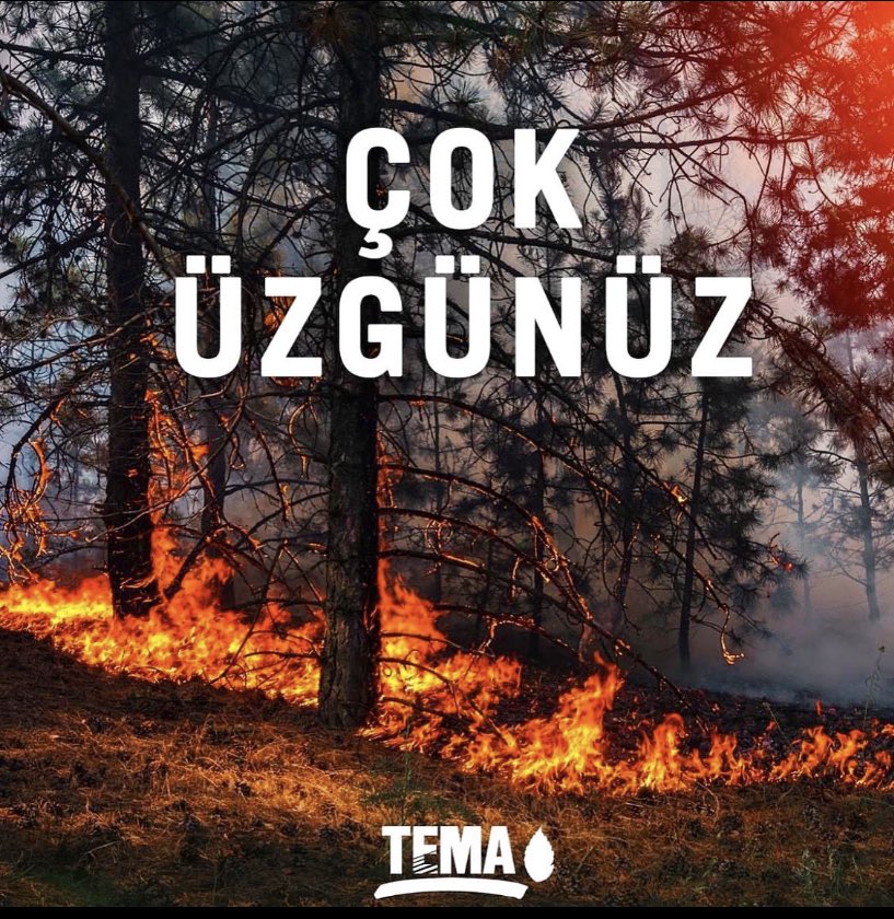 Av.Celal ZUNGULDAK (@avzunguldak) on Twitter photo 