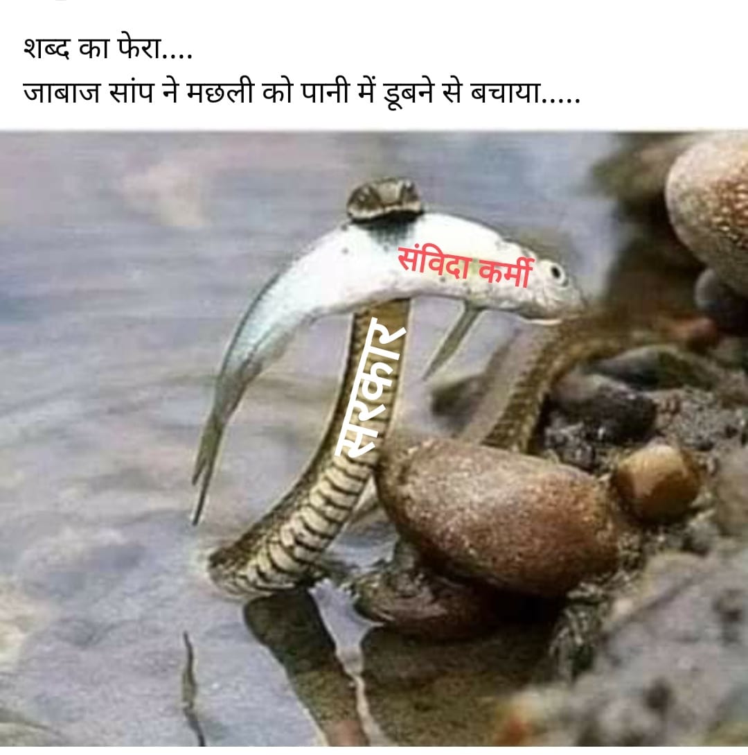 kkmehar968's tweet photo. @INCIndia @bhupeshbaghel प्रदेश के युवा वर्ग एवं किसानों के पुत्र जो अनियमित संविदा कर्मी के रूप में कार्यरत हैं
 जिनका अपने ही छत्तीसगढ़ राज्य  में  शोषण किया जा रहा है कृपया आप अपने वादे अनुसार इन्हें नियमित कर शोषण से मुक्ति दिलाइए 

फिर युवा वर्ग सदैव आपके साथ खड़ा है एवं सब की दुआएं आपके साथ रहेंगी https://t.co/MeVsksWnrf