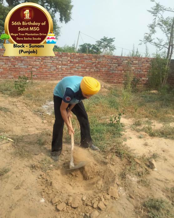 DSSNewsUpdates's tweet image. For a world that breathes easier – more trees for each year. Tree Plantation by Dera Sacha Sauda volunteers from Sunam, Punjab on the occasion of Saint Dr. MSG's Birthday. #56thBirthday #SaintDrMSG #DeraSachaSauda #TreePlantation