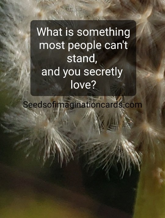SeedsofI's tweet photo. What is something most people can't stand, 
and you secretly love? https://t.co/4YtwrqqHil