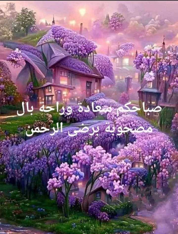 صباحكم سعادة وراحة بال