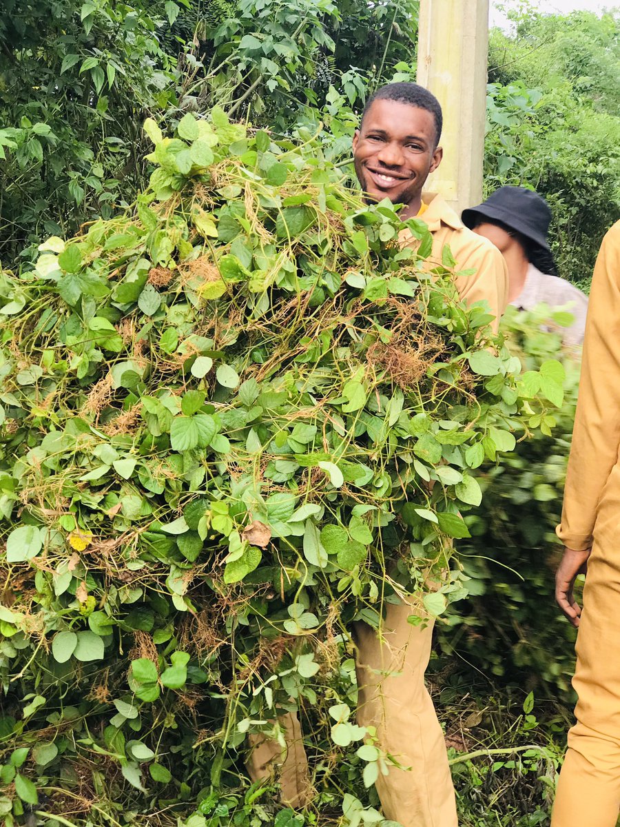FECAAkureInfo's tweet photo. Omoh Pasture and Range Magt practical is not for some people 😮💨
hand as cutlass in the name of #Roguing 😂😂
#FECAAkure https://t.co/i1o36cMXqw