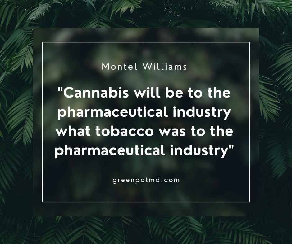 Visit here to know more : greenpotmd.com