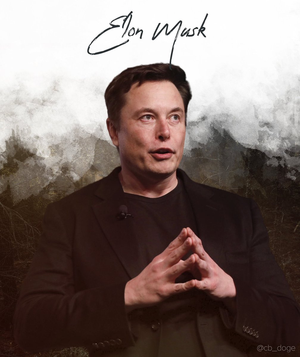 DogeDesigner tweet media