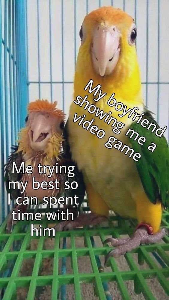 WholesomeMeme's tweet photo. https://t.co/qKM3Zc5qlu