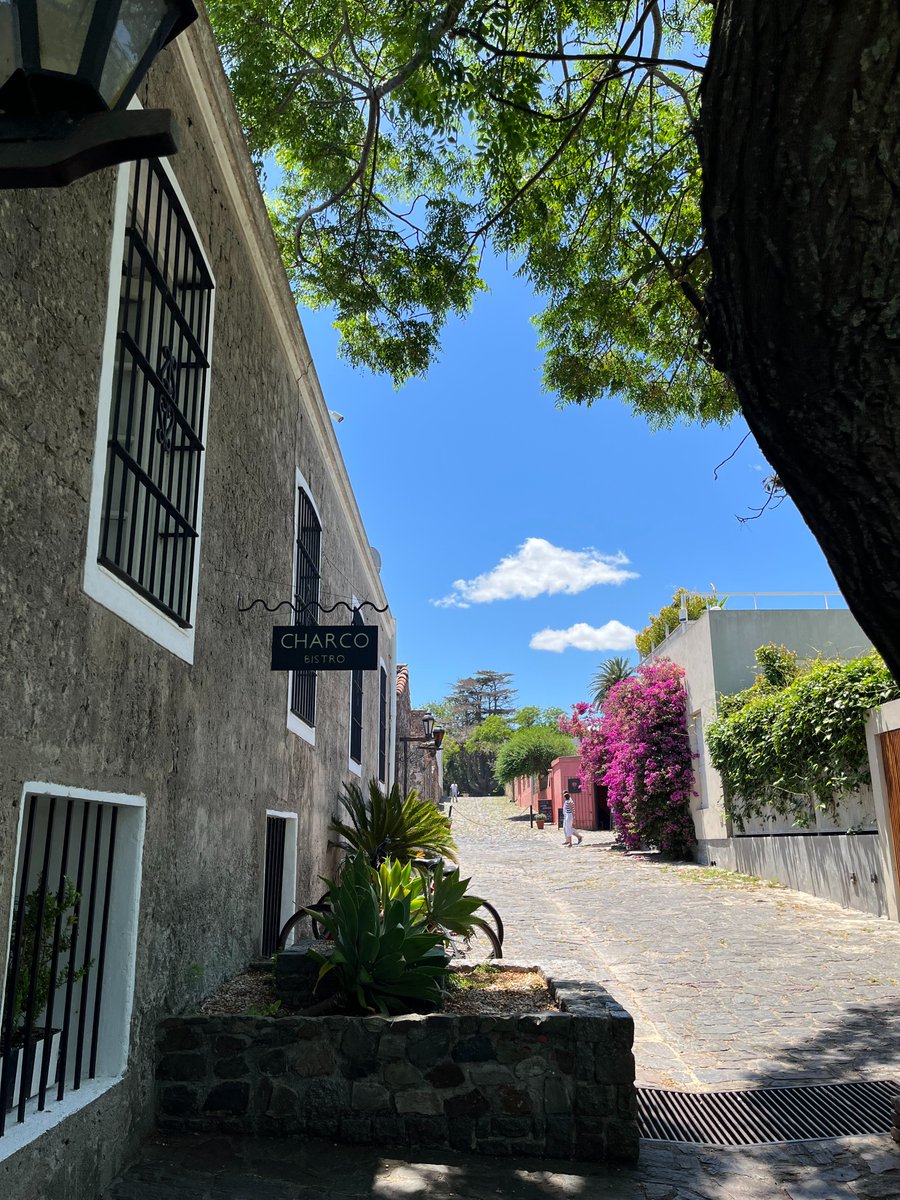 JourneysReflec1's tweet photo. Delicious food at Hotel Charco’s restaurant. Welcome to the charming city of Colonia del Sacramento, Uruguay.  #traveluruguay , #uruguay , #coloniadelsacramento https://t.co/akcN9nPq8J